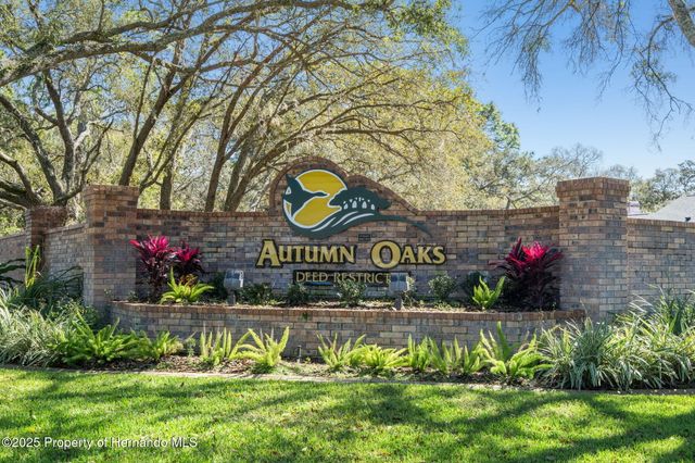 18706 Golden Hawk Court, Hudson, FL 34667