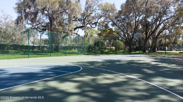 18706 Golden Hawk Court, Hudson, FL 34667