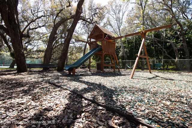 18706 Golden Hawk Court, Hudson, FL 34667