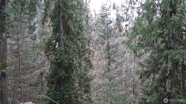 1111 Capstan Rock RD Road, Tahuya, WA 98588