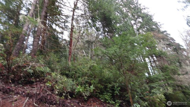 1111 Capstan Rock RD Road, Tahuya, WA 98588