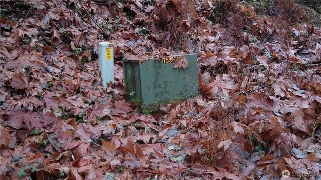 1111 Capstan Rock RD Road, Tahuya, WA 98588