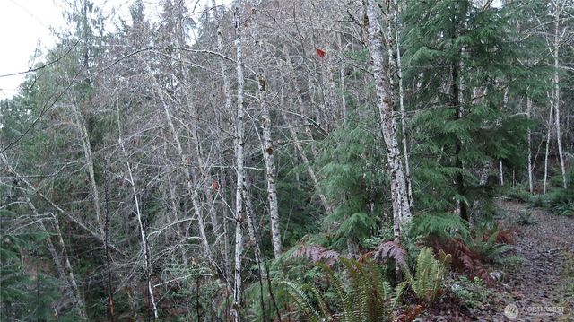 1111 Capstan Rock RD Road, Tahuya, WA 98588