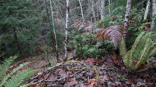 1111 Capstan Rock RD Road, Tahuya, WA 98588