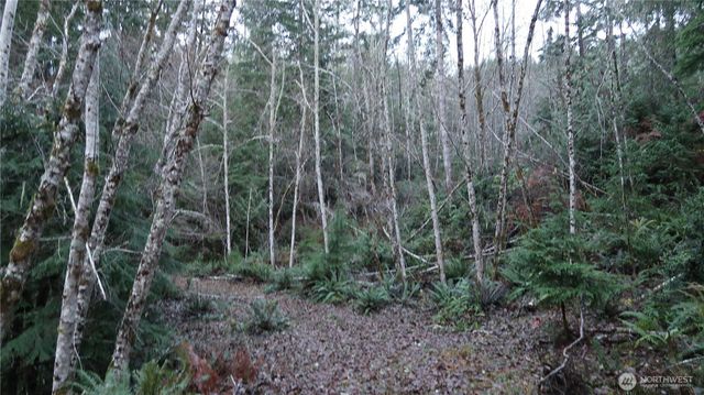 1111 Capstan Rock RD Road, Tahuya, WA 98588