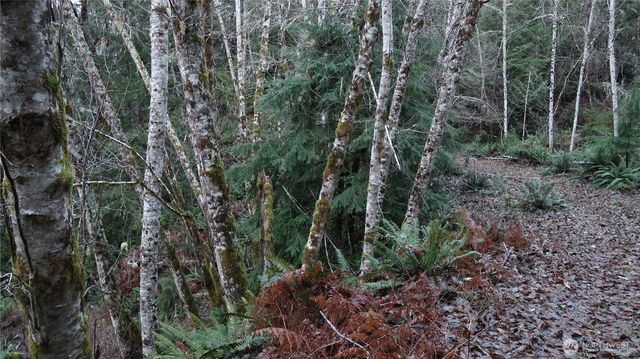 1111 Capstan Rock RD Road, Tahuya, WA 98588