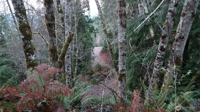 1111 Capstan Rock RD Road, Tahuya, WA 98588