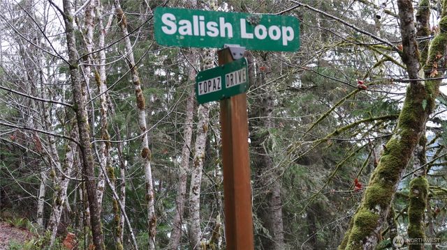 1111 Capstan Rock RD Road, Tahuya, WA 98588