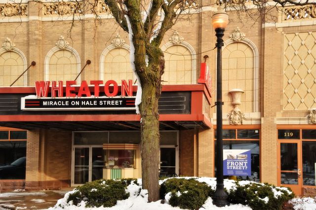 24 Winners Cup Circle, Wheaton, IL 60189