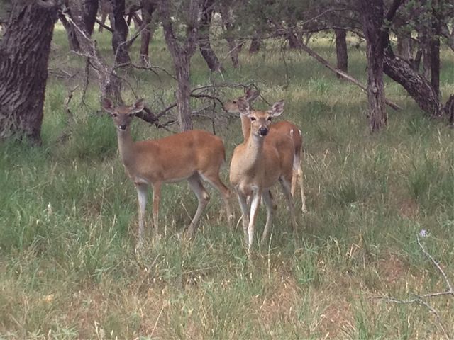 12003 E Rocky Creek Road, Crowley, TX 76036