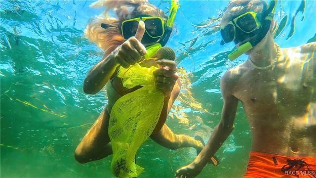 11624 W Kingfisher Court, Crystal River, FL 34429