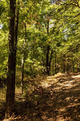 Tbd Watts, Rogersville, MO 65742