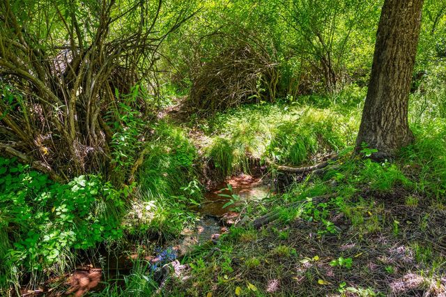 2415 Murphys Dr, Arnold, CA 95223