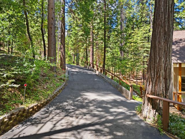 2415 Murphys Dr, Arnold, CA 95223