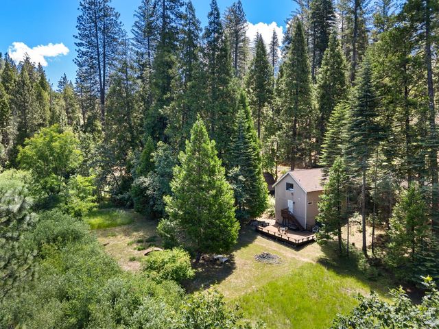 2415 Murphys Dr, Arnold, CA 95223