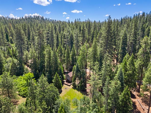 2415 Murphys Dr, Arnold, CA 95223