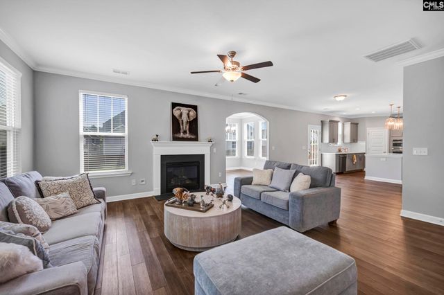 1318 Portrait Hill Drive, Chapin, SC 29036