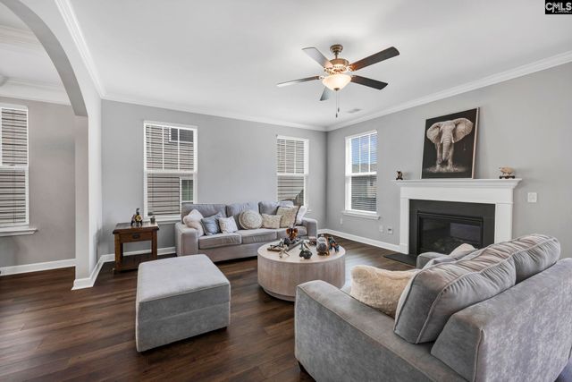 1318 Portrait Hill Drive, Chapin, SC 29036