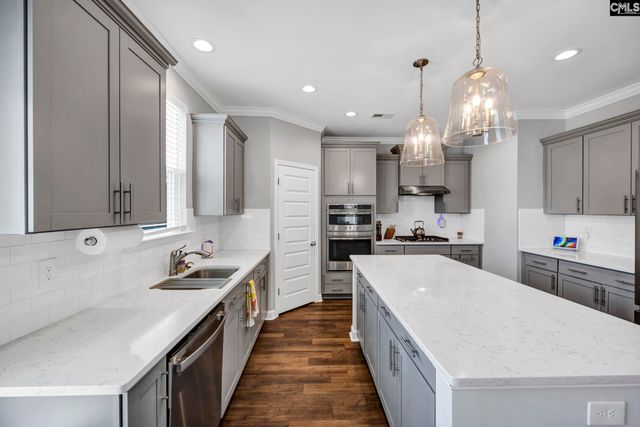 1318 Portrait Hill Drive, Chapin, SC 29036