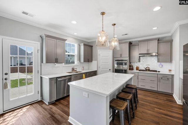 1318 Portrait Hill Drive, Chapin, SC 29036