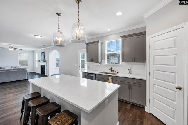 1318 Portrait Hill Drive, Chapin, SC 29036