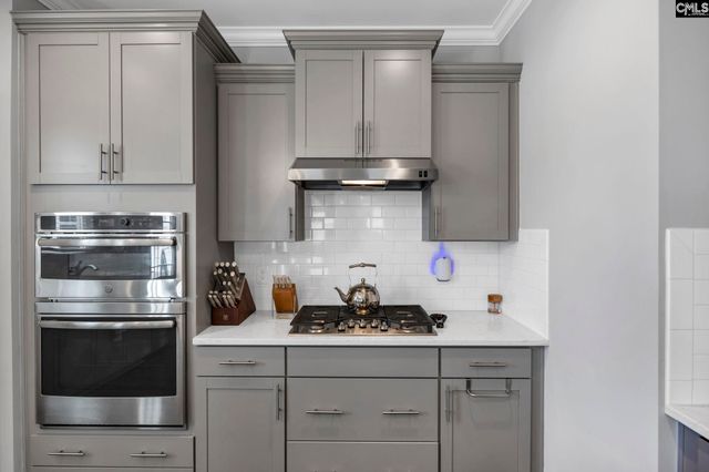 1318 Portrait Hill Drive, Chapin, SC 29036