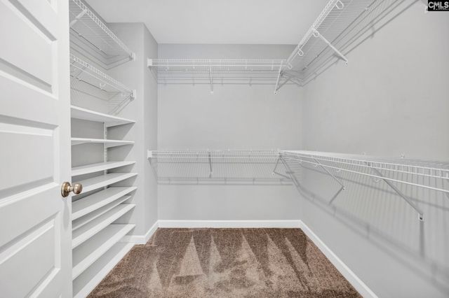 1318 Portrait Hill Drive, Chapin, SC 29036