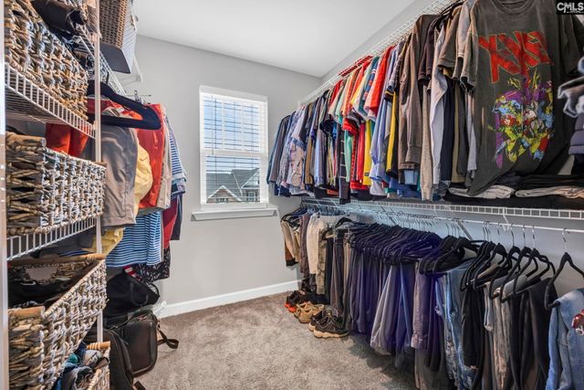 1318 Portrait Hill Drive, Chapin, SC 29036