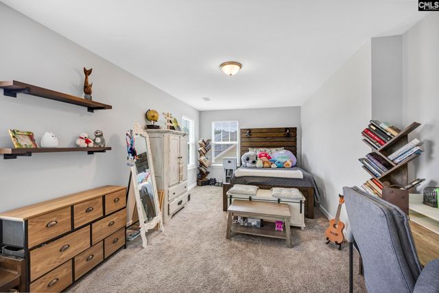 1318 Portrait Hill Drive, Chapin, SC 29036