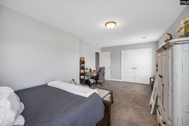 1318 Portrait Hill Drive, Chapin, SC 29036