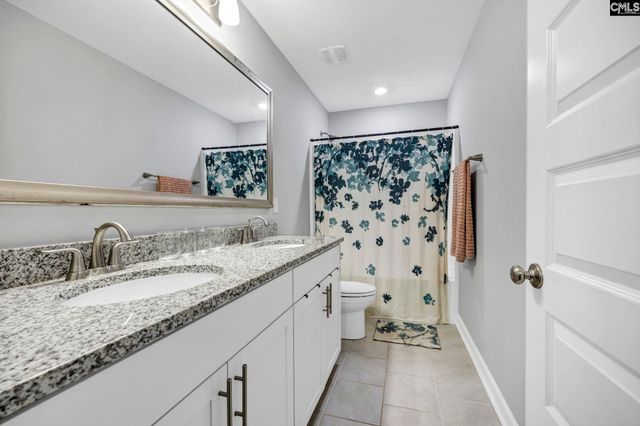 1318 Portrait Hill Drive, Chapin, SC 29036