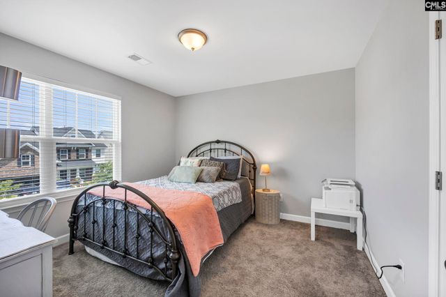 1318 Portrait Hill Drive, Chapin, SC 29036