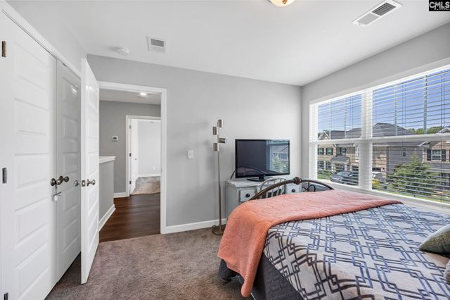 1318 Portrait Hill Drive, Chapin, SC 29036