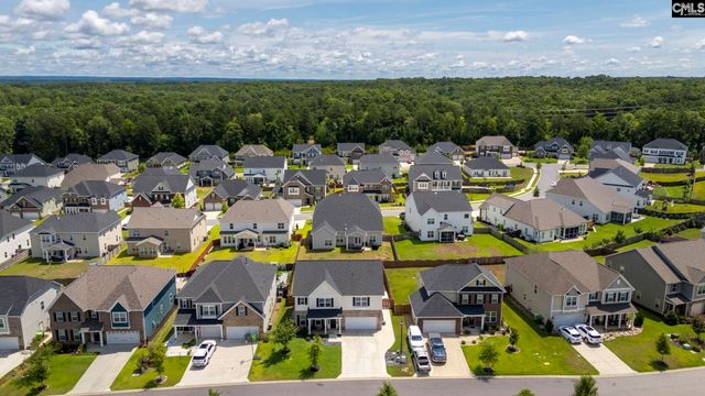 1318 Portrait Hill Drive, Chapin, SC 29036