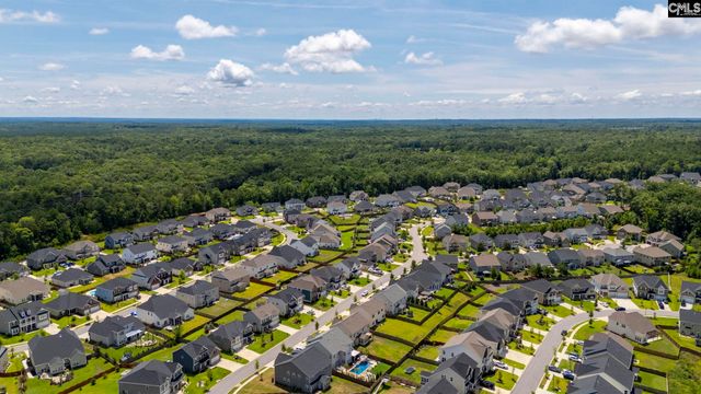 1318 Portrait Hill Drive, Chapin, SC 29036