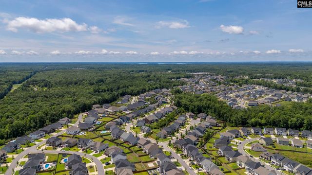 1318 Portrait Hill Drive, Chapin, SC 29036