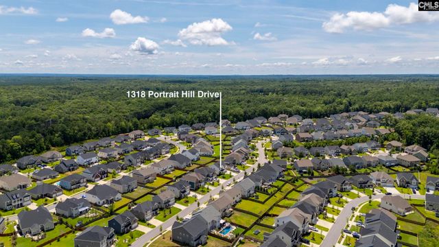 1318 Portrait Hill Drive, Chapin, SC 29036