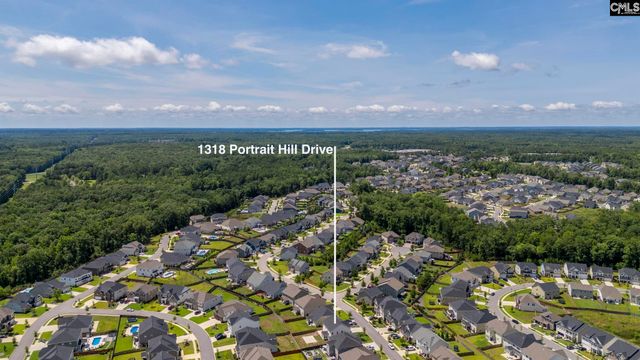 1318 Portrait Hill Drive, Chapin, SC 29036