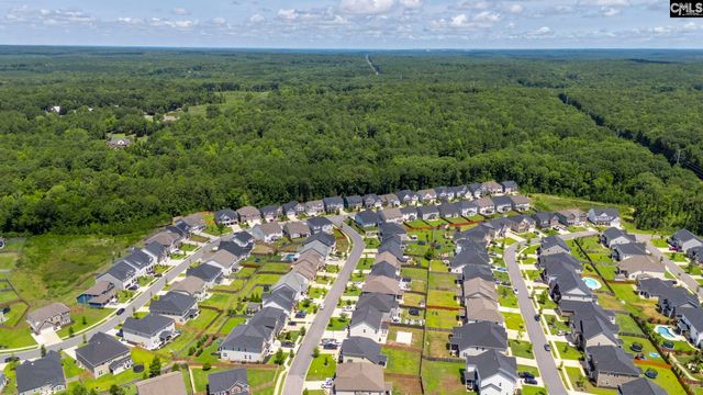 1318 Portrait Hill Drive, Chapin, SC 29036