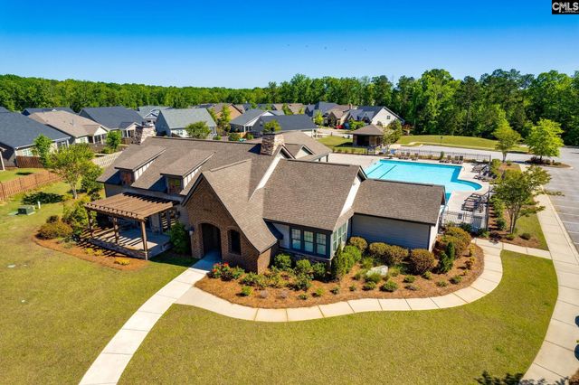 1318 Portrait Hill Drive, Chapin, SC 29036