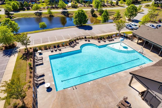 1318 Portrait Hill Drive, Chapin, SC 29036