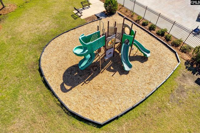 1318 Portrait Hill Drive, Chapin, SC 29036