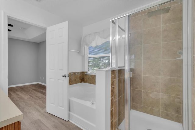 2589 AVENTURINE STREET, Kissimmee, FL 34744