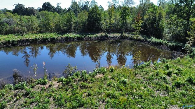 15414 Quinn Road, Athens, AL 35611