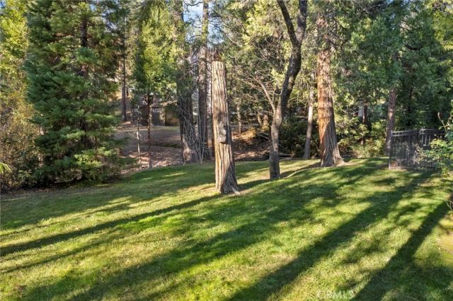 53875 Dogwood Creek, Bass Lake, CA 93604
