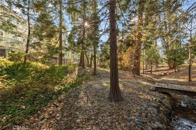 53875 Dogwood Creek, Bass Lake, CA 93604