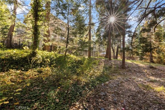53875 Dogwood Creek, Bass Lake, CA 93604