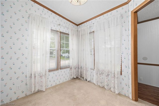 17 Schuberts Alley, Olmsted Twp, OH 44138