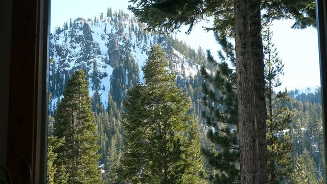 1557 Alpine Meadows Road, Alpine Meadows, CA 96146