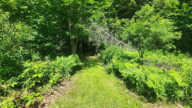 1372 Potash Brook Road, Chester, VT 05143